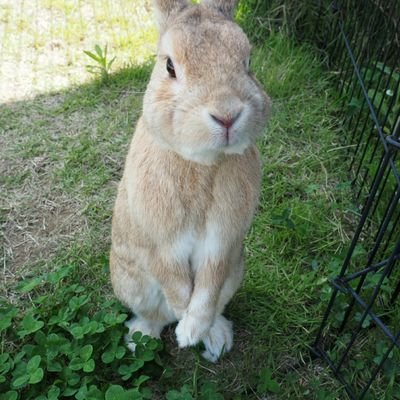 ハロプロ大好き♪加賀楓さん大好き♪
一生カエデ推し🍁
よろしくお願いします(*´ω｀*)