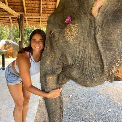 andreadis_devi's profile picture. 