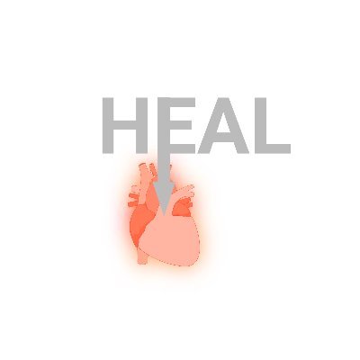 HORIZON Europe funded research project HEAL in cell-based heart repair