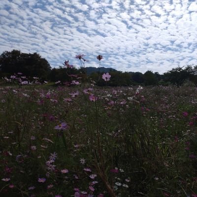 0hiroi's profile picture. のんびりまったり
基本つぶやかないですが
時々は呟きます。