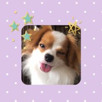 Hanan (@dothetrick1) 's Twitter Profile