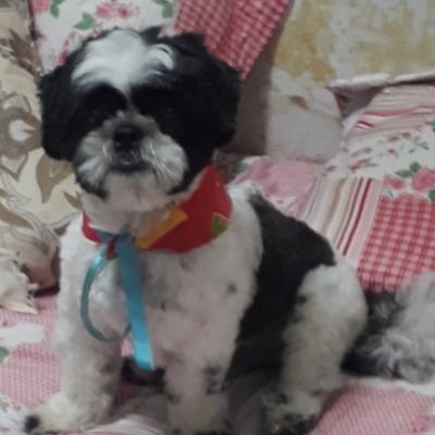 brennaruanna's profile picture. 