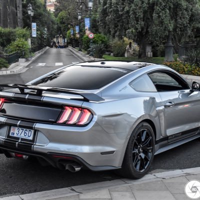 yourhomiechad's profile picture. engineering and that easy going life