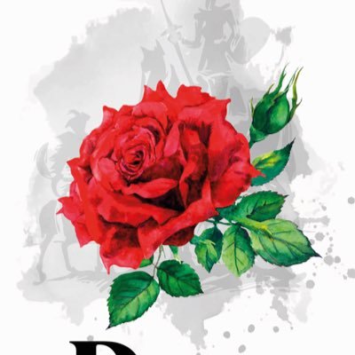 BalletMcallen's profile picture. High performance training for ballet dancers.