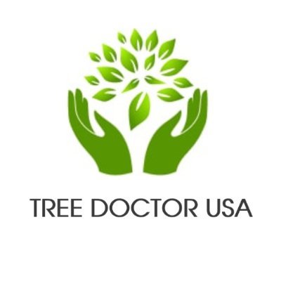 Personalized and comprehensive approach in diagnosing your trees’ healthcare issues and effective treatment from tree health specialists to encourage optimal tr