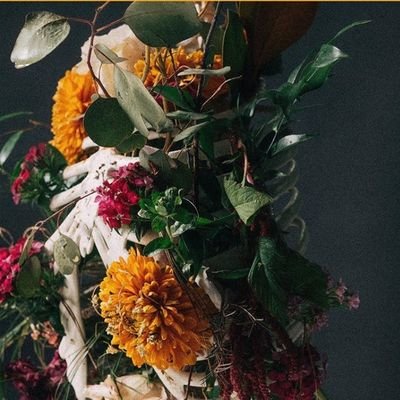 LaapalePet34037's profile picture. A Doxite 💓💯