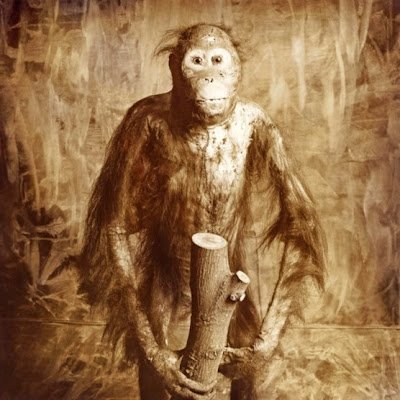 Fine Art Photography and Taxidermy Art. 
International representations
https://t.co/wgEW2EQr7v  
https://t.co/CPwk3nF1OD      
IG: tune.andersen