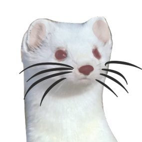 Stoat_Milk's profile picture. https://t.co/jjuApbMgLl
Hello, nice to meet you I'm Milk! I do stuff!
