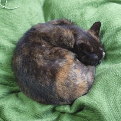 夏都さんのプロフィール画像