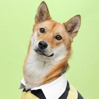 MIN 🏳️🌈🌹🍞 (@min9618) 's Twitter Profile