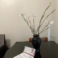 八千里 (@daozhengbian) 's Twitter Profile