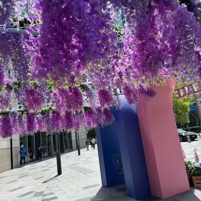 shan0401fl's profile picture. 情報収集！