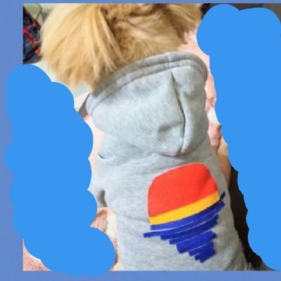 @Fujiikazeアイコンは家族のソウくん
vaws🦖アミ💜8/23aahT神戸🍃10/16パナスタ🍃🏮1/28LAAT福井🦀☃2/3LAAT徳島🍃👹🥜7/9KL🇲🇾🍃7/30🇭🇰🍃6/3NY🗽🍃11/10🇹🇭🐘12/14🇰🇷🍃7/10🇫🇷🍃