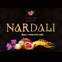 NAR DALI(@nardalitr) 's Twitter Profile Photo