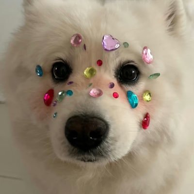 1226Jinji's profile picture. 