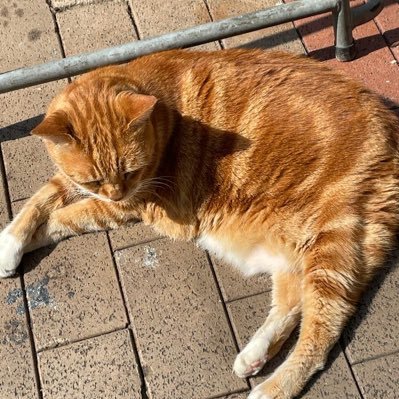 yeslam26's profile picture. 