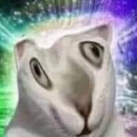 zardathq's profile picture. 