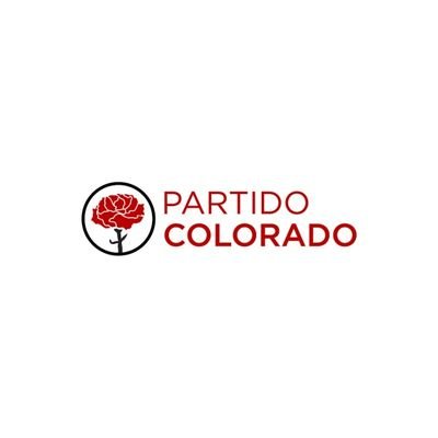 ColoradoReform's profile picture. Convencido de que el @PartidoColorado debe ser un actor clave en la transformación del país a través de una agenda reformista.