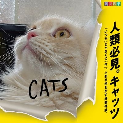 AFK卒業しました
保護猫🐱とチンチラ🐭を飼っています😊