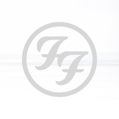 Foo Fighters Profile