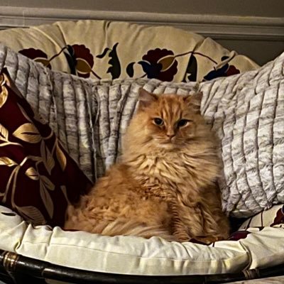 DrTherapist0's profile picture. You are not alone 💜