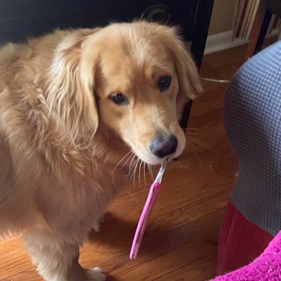 UIan09's profile picture. 