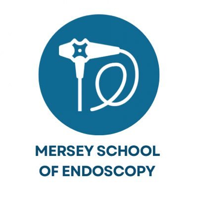 MerseySchool Profile Picture