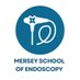Mersey School of Endoscopy (@merseyschool) Twitter profile photo Mersey School of Endoscopy (@merseyschool) Twitter profile photo