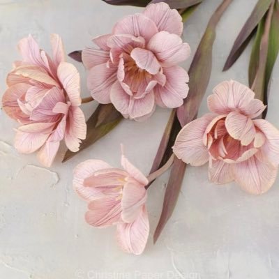 monylilangel1's profile picture. ﮼وَلَسَوْفَ،يُعْطِيكَ،رَبَّكَ،فَتَرْضَى"