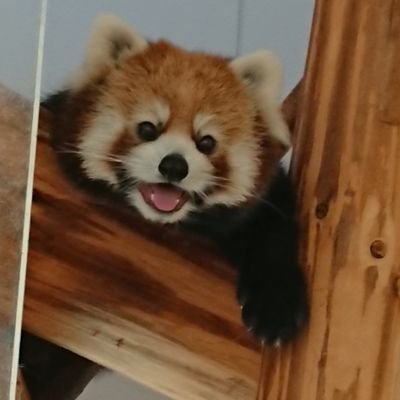 sn572190's profile picture. 