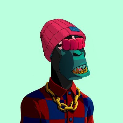 Rimdog11's profile picture. 