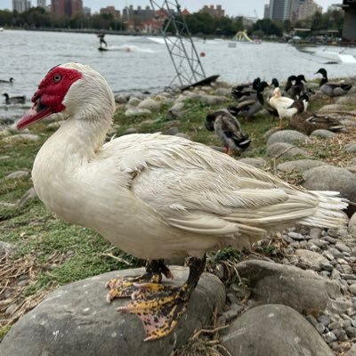 hopeilun0329's profile picture. 