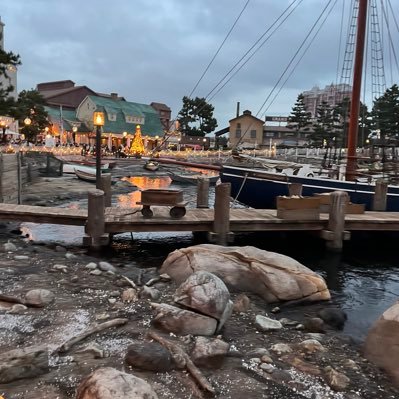 mIDxTDVfvuviSBl's profile picture. 2024年組🌸W長女（中高一貫女子校生）と全くタイプの違う次女（w2028）の伴走において日々勉強中。伴走とともにお洒落も楽しみたい😊