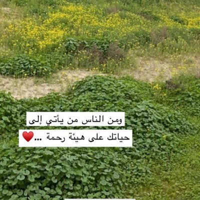 حقيقه أنه لايمكن تصور صلاح القلوب الا بصلاح الاعمال ، ولا صلاح الأعمال الا بصلاح القلوب . الخاص ممنوع .