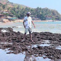 Biplab Dey (@biplabdeys) 's Twitter Profile Photo Biplab Dey (@biplabdeys) 's Twitter Profile Photo