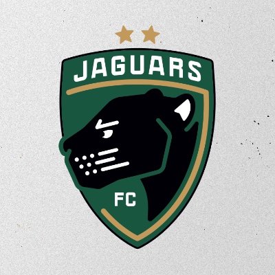 MichiganJaguars Profile Picture