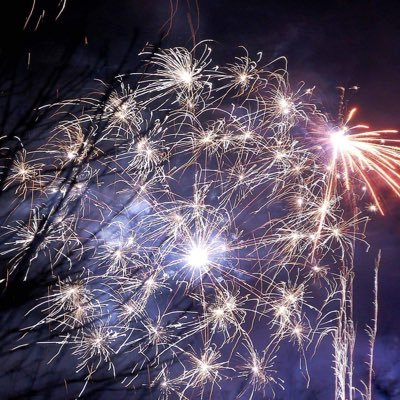 catdeeann's profile picture. 🐊Political news junkie. I ❤️ snarky comments. 🇺🇸 Disabled Veteran 🇺🇸 #FaithFreedomFamily 🇺🇸 #ProudTrumpGirl 🇺🇸 NO DMs