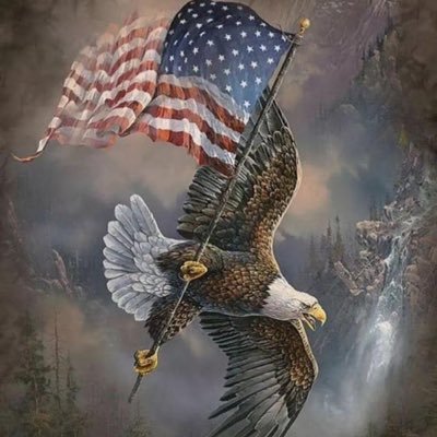 LisaClauser's profile picture. NO DM’s.