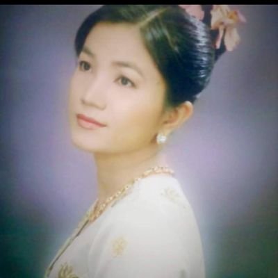 Medical Doctor
Researcher
Health and Social Consultant
Trainer for Health Training
Translator from English to Burmese
Burmese Teacher