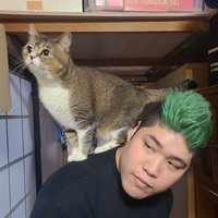 あびつん@父ノ背中 (@abitun1) 's Twitter Profile Photo あびつん@父ノ背中 (@abitun1) 's Twitter Profile Photo