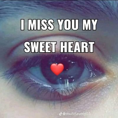 IkanKELIIkanKE1's profile picture. 