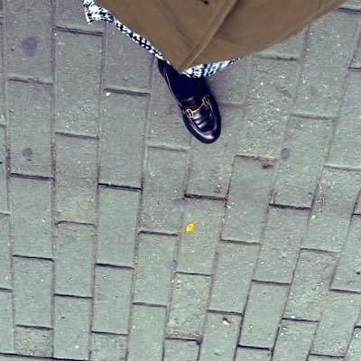 justllsss's profile picture. 别关注我啦大家无福利无图只有碎碎念  不挑食爱吃肉尤爱葱蒜香菜//欢迎约饭