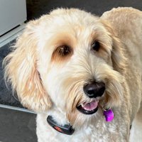 Col Harris (@colin00) 's Twitter Profile