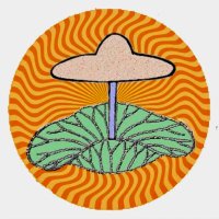 Psychedelic Sangha (@misfitseekers) 's Twitter Profile Photo Psychedelic Sangha (@misfitseekers) 's Twitter Profile Photo