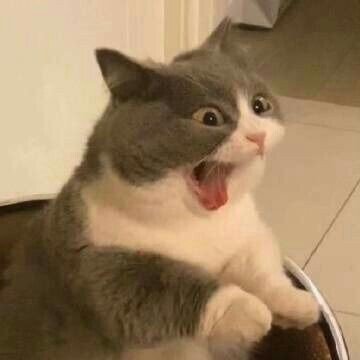 aguanglimpo's profile picture. Biasa biasa saja