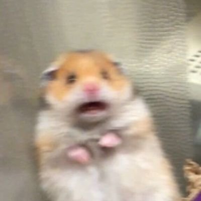 mist_mii's profile picture. 🐱