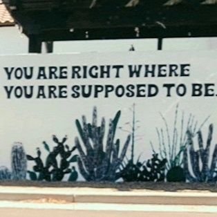 SugarC01's profile picture. 