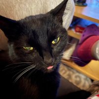 Pausenfuesslerin (@pausenfuessler) 's Twitter Profile