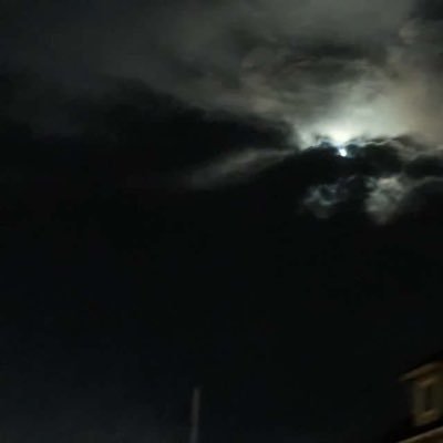 lehman_mimi's profile picture. honestly probably being sarcastic