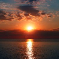Stephan Willms (@willms_ste60976) 's Twitter Profile